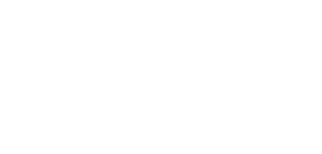 FIXION